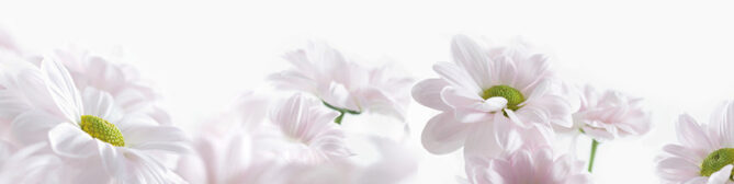 nischenverkleidung_dekor-blumen_1 nischenverkleidung_dekor-blumen_1